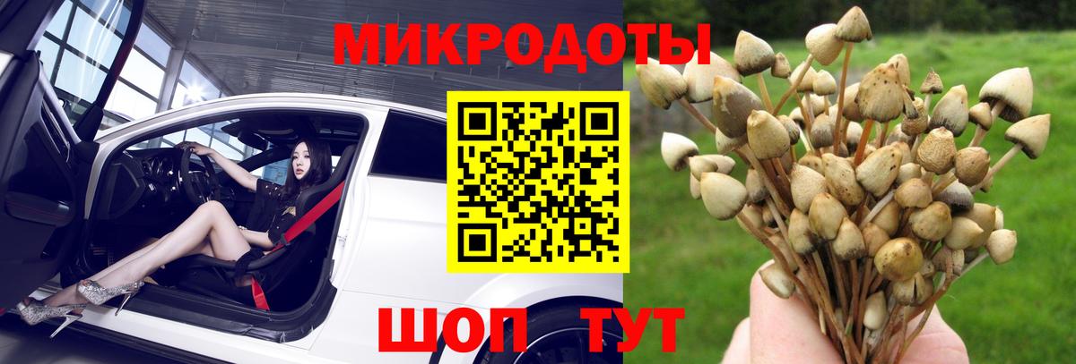 Псилоцибиновые грибы MAGIC MUSHROOMS Тверь